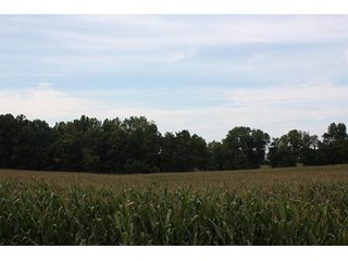 Property photo 4 - REAL ESATE AUCTION-128.4+/- ACRES OFFERED IN 6 TRACTS IN SPENCER COUNTY